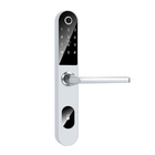 Slim European Standard Mortise Smart Fingerprint Door Lock With TT LOCK APP